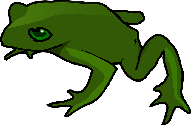 Free download Frog Green Amphibian - Free vector graphic on Pixabay free illustration to be edited with GIMP free online image editor