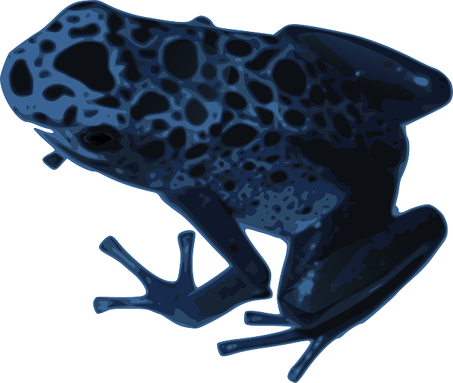 Faça o download gratuito do Frog Nature Animal - Gráfico vetorial gratuito no Pixabay ilustração gratuita para ser editado com o editor de imagens on-line gratuito do GIMP