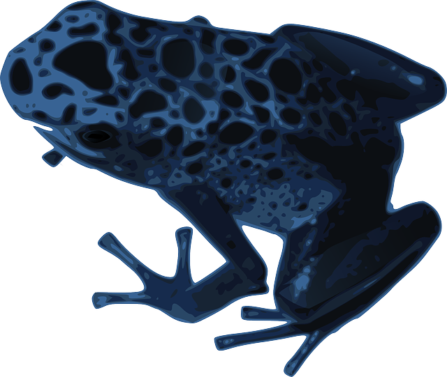 Free download Frog Nature Animal - Free vector graphic on Pixabay free illustration to be edited with GIMP free online image editor