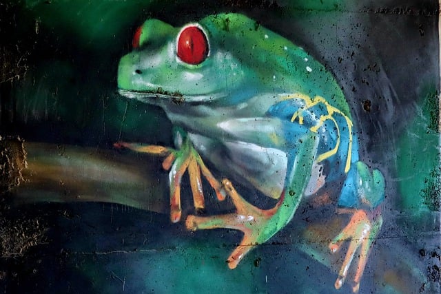 Free download frog street art graffiti art free picture to be edited with GIMP free online image editor