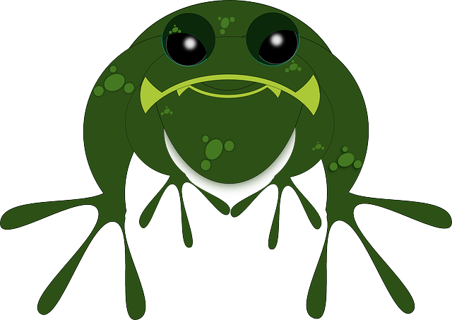 Free download Frog Toad Amphibian - Free vector graphic on Pixabay free illustration to be edited with GIMP free online image editor