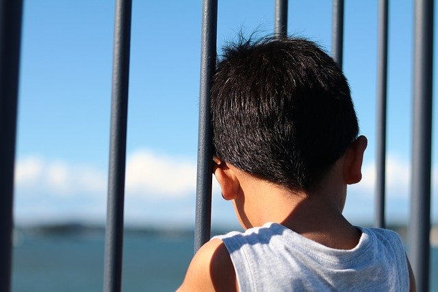 Free download From Behind Boy Fence -  free photo or picture to be edited with GIMP online image editor