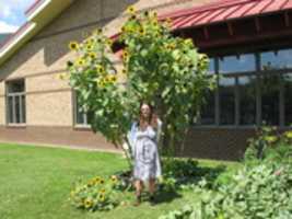 Free download From New Canon SD 780 IS Camera 173 free photo or picture to be edited with GIMP online image editor