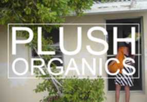 Free download front0000000 free photo or picture to be edited with GIMP online image editor