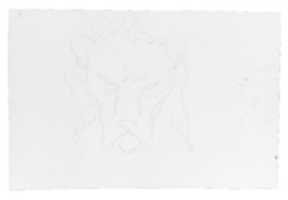 Free download Frontal and Profile Studies of a Lions Head free photo or picture to be edited with GIMP online image editor