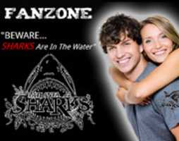 Free download Front page Square Banners free photo or picture to be edited with GIMP online image editor