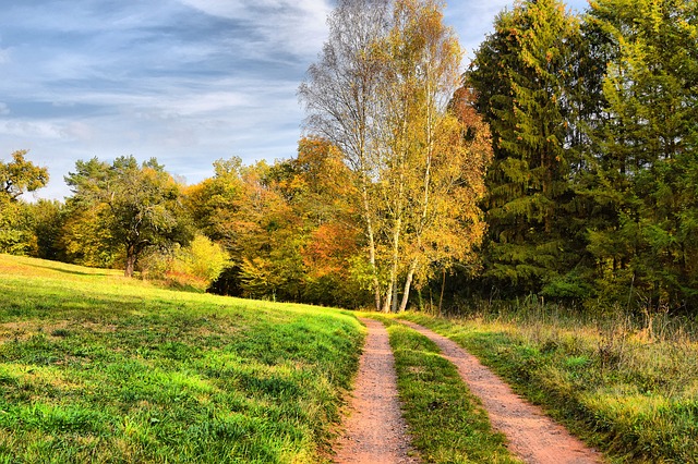 Gratis download front weidenthal heeft een herfstgroene gratis foto om te bewerken met GIMP gratis online afbeeldingseditor