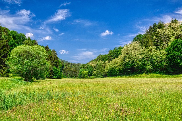 دانلود رایگان عکس front weidenthal has forests clouds رایگان برای ویرایش با ویرایشگر تصویر آنلاین رایگان GIMP