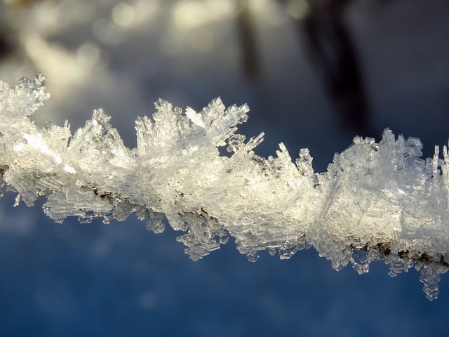 Free download frost crystals ice winter nature free picture to be edited with GIMP free online image editor