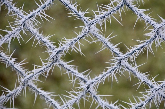Free picture Frost Fence Cold -  to be edited by GIMP free image editor by OffiDocs