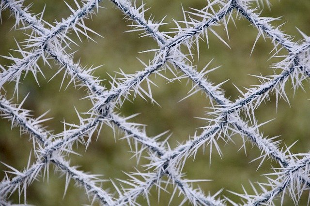 Descarga gratuita Frost Fence Cold: foto o imagen gratuita para editar con el editor de imágenes en línea GIMP