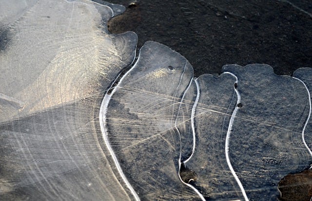 Free download frost hoarfrost abstract background free picture to be edited with GIMP free online image editor