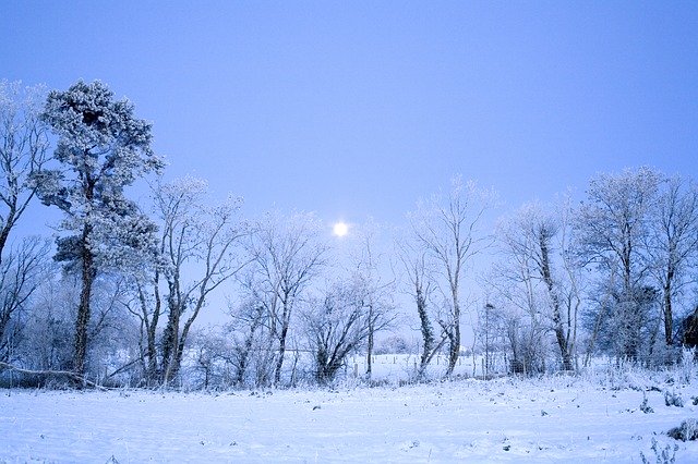 Free download Frost Landscape Winter -  free photo or picture to be edited with GIMP online image editor