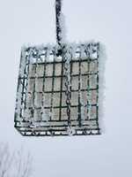 Free download Frost on bird feeder free photo or picture to be edited with GIMP online image editor