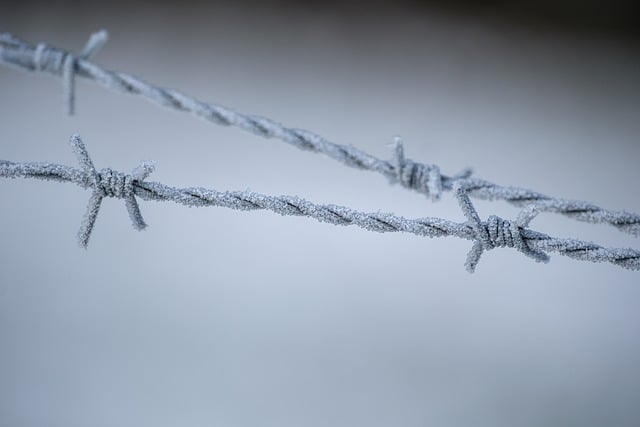 Free download frost winter cold barbed wire free picture to be edited with GIMP free online image editor
