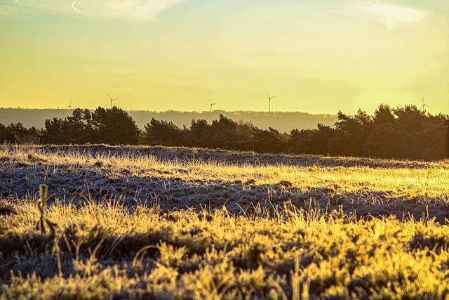 Free download frost winter landscape nature free picture to be edited with GIMP free online image editor