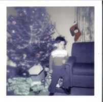 Free download FROSTY SOCK  free photo or picture to be edited with GIMP online image editor