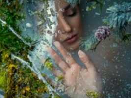 Free download Frozen Beauty free photo or picture to be edited with GIMP online image editor