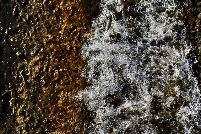 Free download frozen ice cream stone structure free picture to be edited with GIMP free online image editor