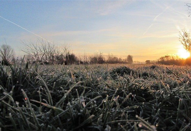 Free download Frozen Sunrise Drops -  free photo or picture to be edited with GIMP online image editor