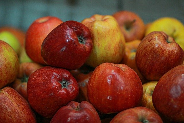 Free download fruit apple organic harvest free picture to be edited with GIMP free online image editor
