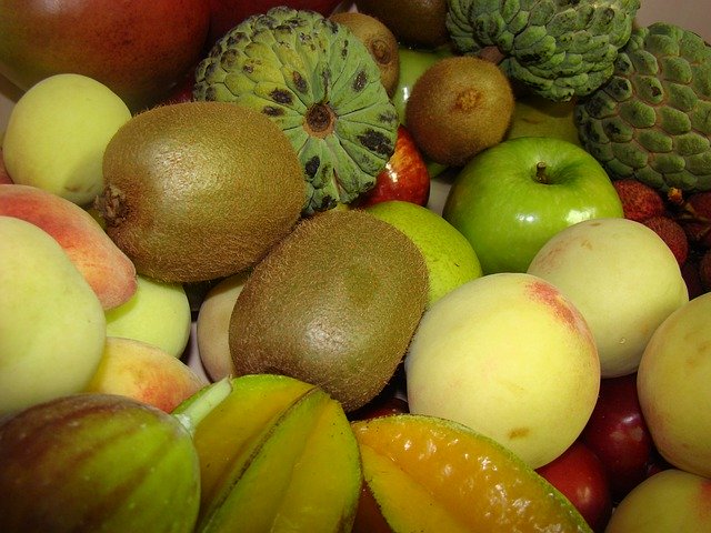 Template Photo Fruit Brazil Carom -  for OffiDocs