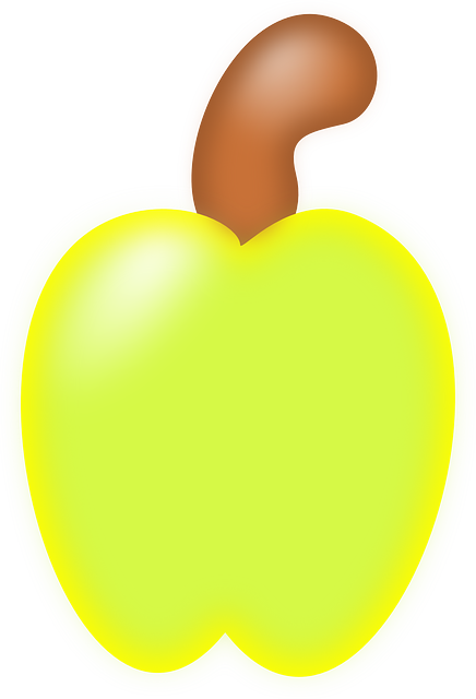 Descarga gratuita Fruta Anacardo - Gráficos vectoriales gratis en Pixabay ilustración gratuita para editar con GIMP editor de imágenes en línea gratuito