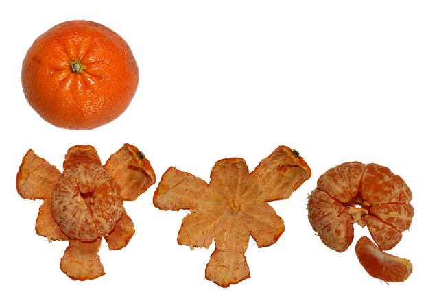 무료 다운로드 Fruit Citrus Healthy - GIMP 무료 온라인 이미지 편집기로 편집할 수 있는 무료 일러스트레이션