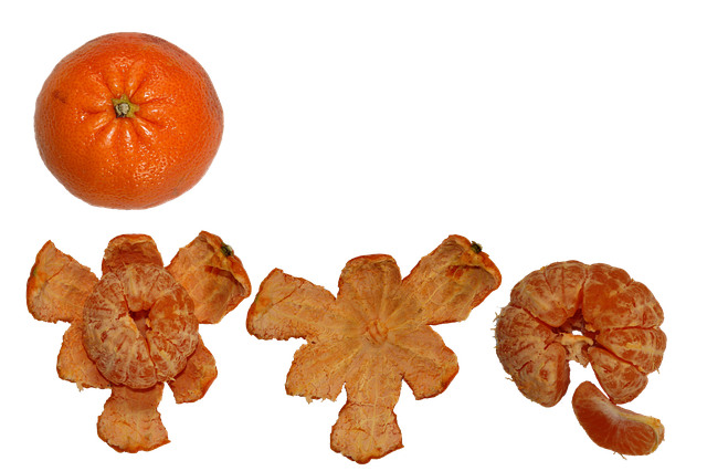 Libreng download Fruit Citrus Healthy - libreng ilustrasyon na ie-edit gamit ang GIMP na libreng online na editor ng imahe