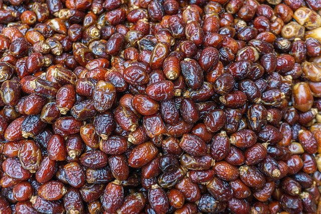 Free download fruit date healthy organic harvest free picture to be edited with GIMP free online image editor