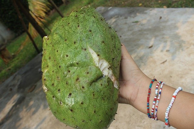 Descărcare gratuită Fruit Guanabana Healthy - fotografie sau imagini gratuite pentru a fi editate cu editorul de imagini online GIMP