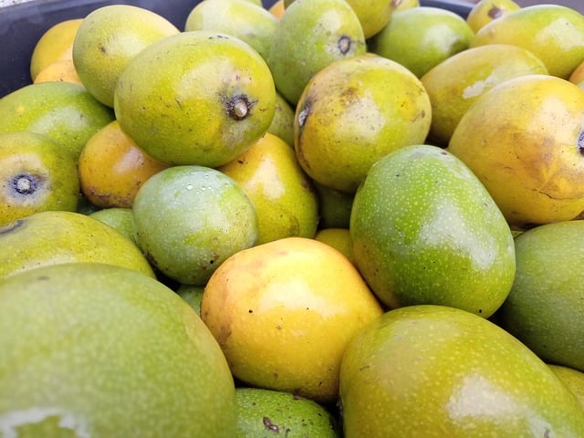 Free download fruit mango food nature free picture to be edited with GIMP free online image editor