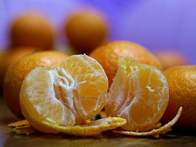 Free download fruit orange citrus nutrient free picture to be edited with GIMP free online image editor