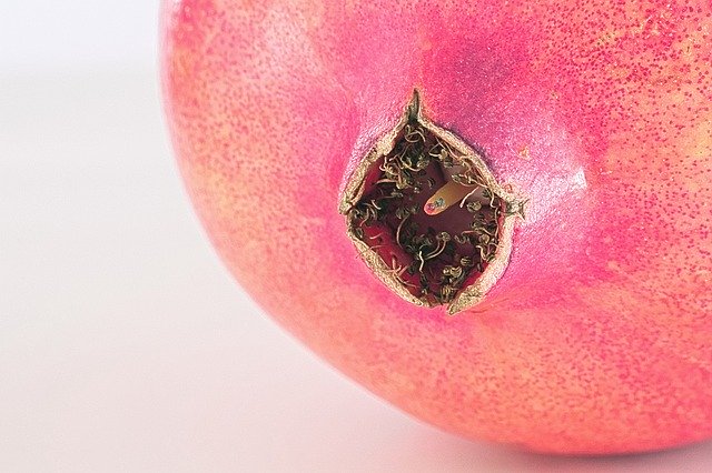 무료 다운로드 과일 석류 빨강 - 무료 사진 또는 김프 온라인 이미지 편집기로 편집할 수 있는 사진