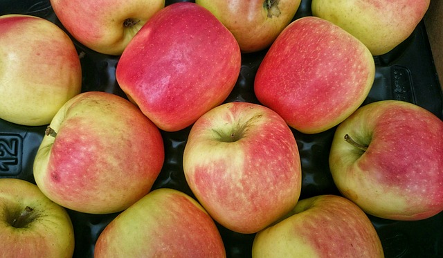 Scarica gratis l'immagine ecologica delle mele mature della frutta da modificare con l'editor di immagini online gratuito di GIMP