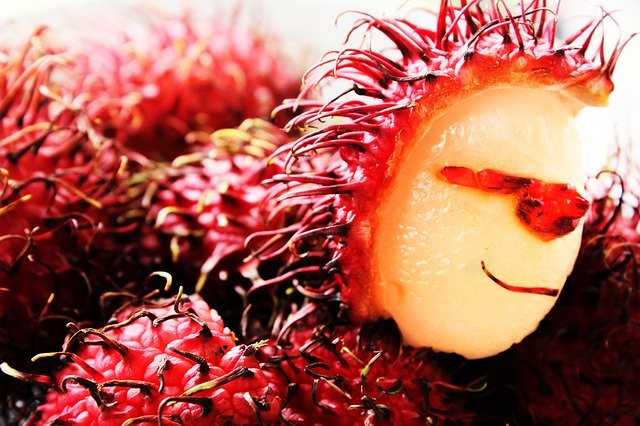 Free download Fruits Rambutan Red -  free photo or picture to be edited with GIMP online image editor