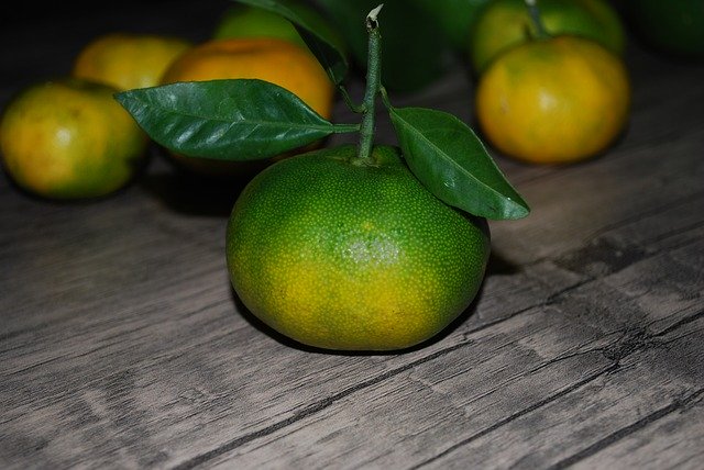 Gratis download Fruit Tangerine Citrus - gratis foto of afbeelding om te bewerken met GIMP online afbeeldingseditor