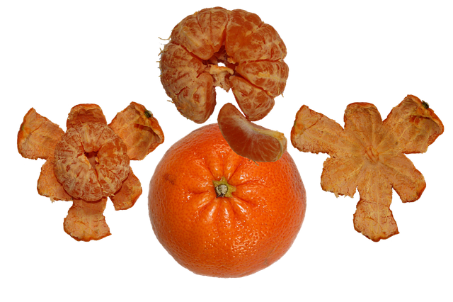 Free download Fruit Tangerine Orange -  free illustration to be edited with GIMP free online image editor