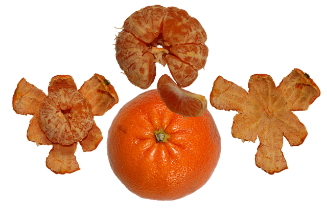 Free download Fruit Tangerine Orange -  free illustration to be edited with GIMP free online image editor