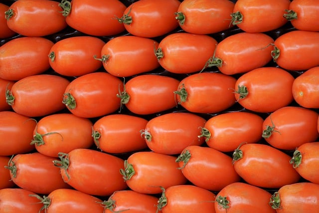 Free download fruit tomatoes background food free picture to be edited with GIMP free online image editor