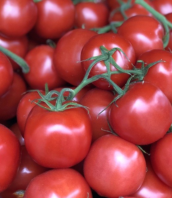 Kostenloser Download Fruit Vine Tomato - kostenloses Foto oder Bild zur Bearbeitung mit GIMP Online-Bildbearbeitung
