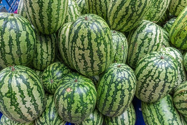 Free download fruit watermelon tropical harvest free picture to be edited with GIMP free online image editor