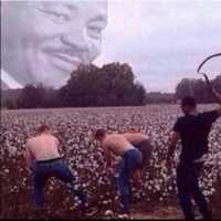 Free download #FUCKWHITEY free photo or picture to be edited with GIMP online image editor