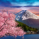 Fuji mountain with cherry blossoms in spring, Japan  screen for extension Chrome web store in OffiDocs Chromium