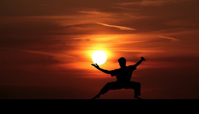 Free graphic fu kung kungfu master silhouette to be edited by GIMP free image editor by OffiDocs
