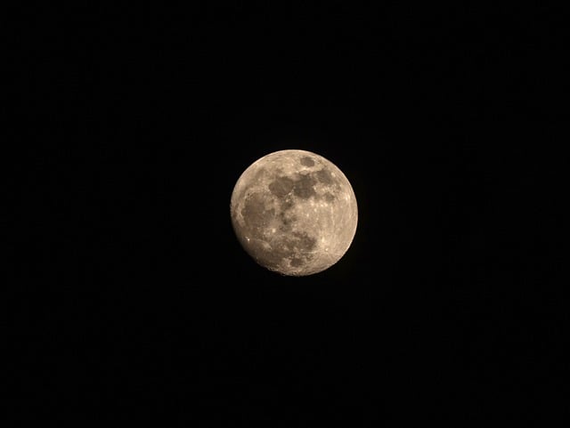 Free download full moon moon night nature free picture to be edited with GIMP free online image editor