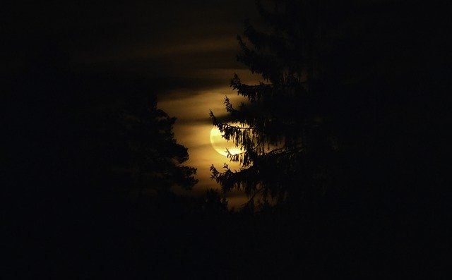 Unduh gratis Full Moon Night Moonlight - foto atau gambar gratis untuk diedit dengan editor gambar online GIMP