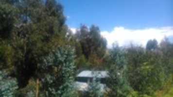 Free download Fundo Mirasol free photo or picture to be edited with GIMP online image editor