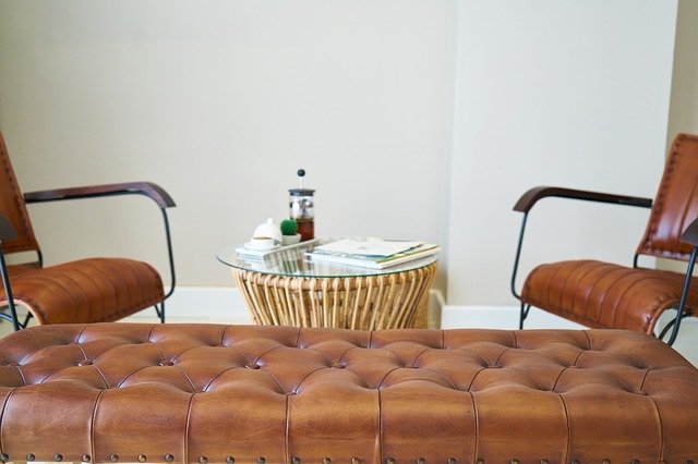 تنزيل Furniture Armchair Skin مجانًا - صورة مجانية أو صورة لتحريرها باستخدام محرر الصور عبر الإنترنت GIMP