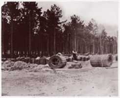 Free download Gabions in Engineers Camp, Petersburg free photo or picture to be edited with GIMP online image editor